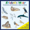 Erlebnis Meer. Tierstimmen und Gerusche an Meer und Kste audio book by Karl-Heinz Dingler, Christian Fackelmann