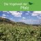 Die Vogelwelt der Pfalz audio book by div.