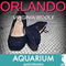 Orlando (Unabridged) audio book by Virginia Woolf