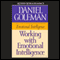 Working with Emotional Intelligence audio book by Daniel Goleman