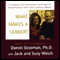What Makes a Leader? (Unabridged) audio book by Daniel Goleman, Jack Welch, and Suzy Welch