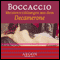 Meistererzählungen aus dem Decamerone audio book by Giovanni Boccaccio