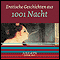 Erotische Geschichten aus 1001 Nacht audio book by div.