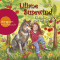 Rckt dem Wolf nicht auf den Pelz (Liliane Susewind 7) audio book by Tanya Stewner