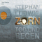 Zorn: Tod und Regen audio book by Stephan Ludwig