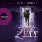 Sturz in die Zeit audio book by Julie Cross