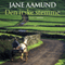 Den irske stemme [The Irish Vote] (Unabridged) audio book by Jane Aamund
