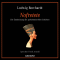 Nofretete. Die Entdeckung der geheimnisvollen Schnen audio book by Ludwig Borchardt