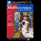 Multicultural Tales to Tell audio book by Pleasant DeSpain