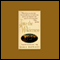 Into the Wilderness audio book by Sara Donati