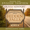 Distringuishing Marks: Hidden Falls, Episode 13 (Unabridged) audio book by Olivia Newport