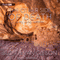 The Other Side of Death (Unabridged) audio book by Judith Van Gieson