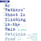My Father's Ghost Is Climbing in the Rain (Unabridged) audio book by Patricio Pron