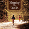Stepping on the Cracks (Unabridged) audio book by Mary Downing Hahn
