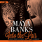 Into the Lair: The Falcon Mercenary Group, Book 2 (Unabridged) audio book by Maya Banks