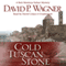 Cold Tuscan Stone: A Rick Montoya Italian Mystery, Book 1 (Unabridged)