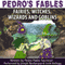 Pedro's Fables: Fairies, Witches, Wizards, and Goblins (Unabridged) audio book by Pedro Pablo Sacristn