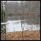 Cornell Ornithology Lab, Ithaca, New York, Part II: Audio Journeys Goes Behind the Scenes (Unabridged) audio book by Patricia L. Lawrence
