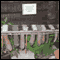 The Mayan World Music Museum, La Antigua, Guatemala: Audio Journeys (Unabridged) audio book by Patricia L. Lawrence