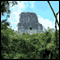 Guatemala's Tikal National Park - Animals and Plants: Audio Journeys (Unabridged) audio book by Patricia L. Lawrence