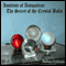 Institute of Antiquities: The Secret of the Crystal Balls (Episode 1) (Unabridged)