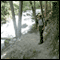 Audio Journeys: Whiskeytown National Recreation Area, Redding, California (Unabridged) audio book by Patricia L. Lawrence