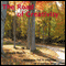 The Road of Creativity: Hypnosis for a Lifetime of Creative Inspiration (Unabridged) audio book by Maggie Dubris