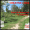 Creative Lives: Past Life Regression for Creativity