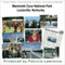 Audio Journeys: Mammoth Cave National Park, Louisville, Kentucky: World's Longest Cave audio book by Ms Patricia L Lawrence