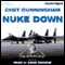 Nuke Down: The Specialists, Book 2 (Unabridged) audio book by Chet Cunningham