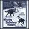 Missing in the Boundary Waters (Unabridged) audio book by Larry Ahlman