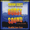 Burst of Sound (Unabridged) audio book by Trevor Scott