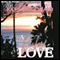 A Perfect Love (Unabridged) audio book by Kay L. McDonald