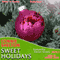 Sweet Holidays: Samantha Sweet Series, Book 3 (Unabridged) audio book by Connie Shelton