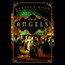 Dark Angels (Unabridged) audio book by Karleen Koen