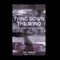 Tying Down the Wind: Adventures in the Worst Weather on Earth (Unabridged) audio book by Eric Pinder