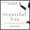 Beautiful Boy: A Father's Journey through His Son's Meth Addiction (Unabridged) audio book by David Sheff