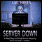Server Down: A Mad Dog and Englishman Mystery (Unabridged) audio book by J. M. Hayes