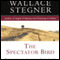 The Spectator Bird (Unabridged) audio book by Wallace Stegner