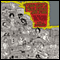 Love Goes to Buildings on Fire: Five Years in New York That Changed Music Forever (Unabridged)