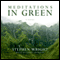 Meditations in Green (Unabridged) audio book by Stephen Wright