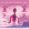 The Little Reiki Meditation audio book by Philip Permutt