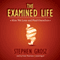 The Examined Life: How We Lose and Find Ourselves (Unabridged) audio book by Stephen Grosz