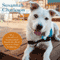 The Possibility Dogs: What a Handful of 'Unadoptables' Taught Me about Service, Hope, and Healing (Unabridged) audio book by Susannah Charleson