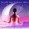 The Little Sleep Meditation audio book by Philip Permutt