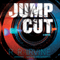 Jump Cut: Robert Christopher, Book 1 (Unabridged) audio book by Robert R. Irvine