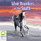 Silver Brumbies of the South (Unabridged) audio book by Elyne Mitchell