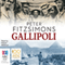 Gallipoli (Unabridged) audio book by Peter FitzSimons