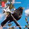 The Blackbird: Sound Portraits of the Blackbird in Song (Unabridged) audio book by Cheryl Tipp