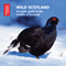 Wild Scotland: An Audio Guide to the Unique Wildlife of Scotland audio book by Cheryl Tipp